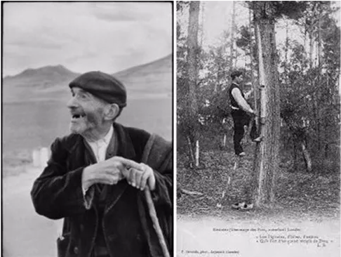 貝雷帽究竟要怎么選才好！